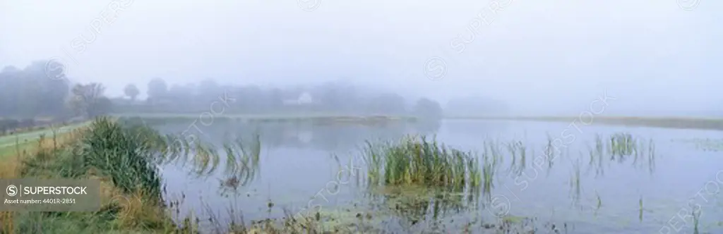 Water pond as a nitrogen trap, Uppland, Sweden.