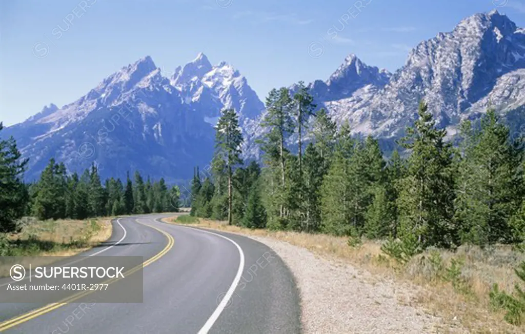 Road amid trees with mountains in background