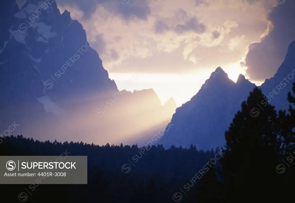 Silhouette of trees with mountains in background at dusk