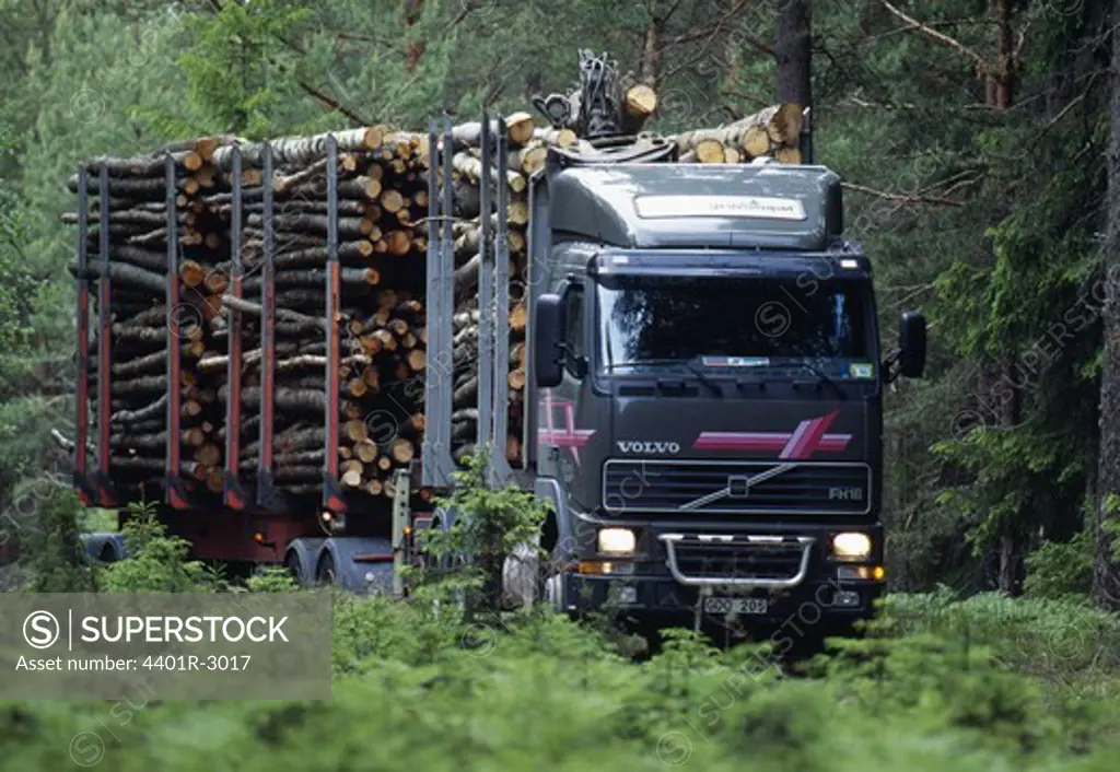 Truck carrying logs of wood in forest