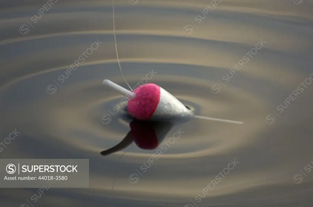 Fishing line and float