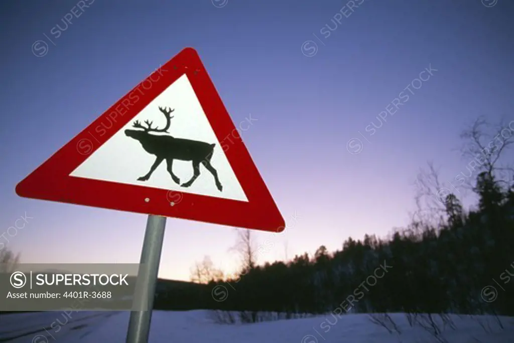 Reindeer traffic warning road sign, Norway.