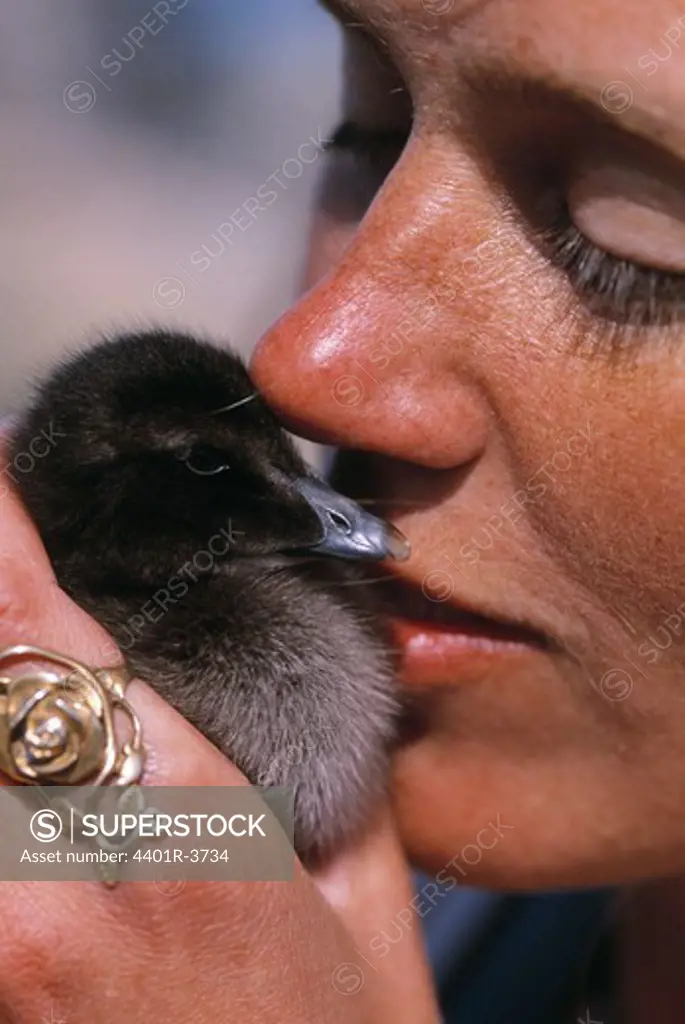 A woman kissing an eider duck chick, that she saved and then released.