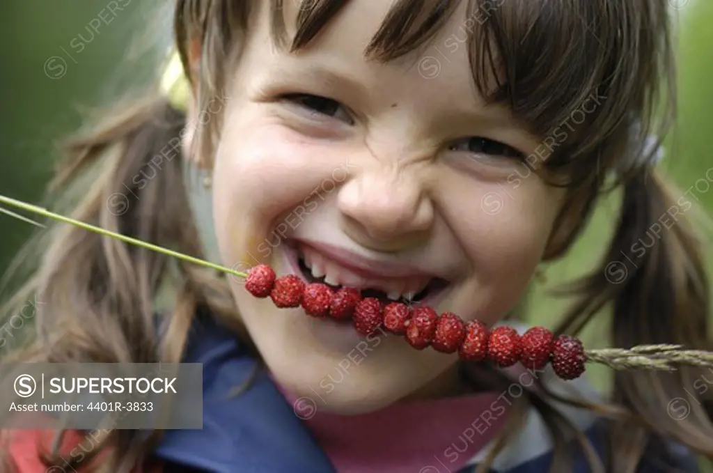 A girl with wild strawberries on a straw, Sweden.
