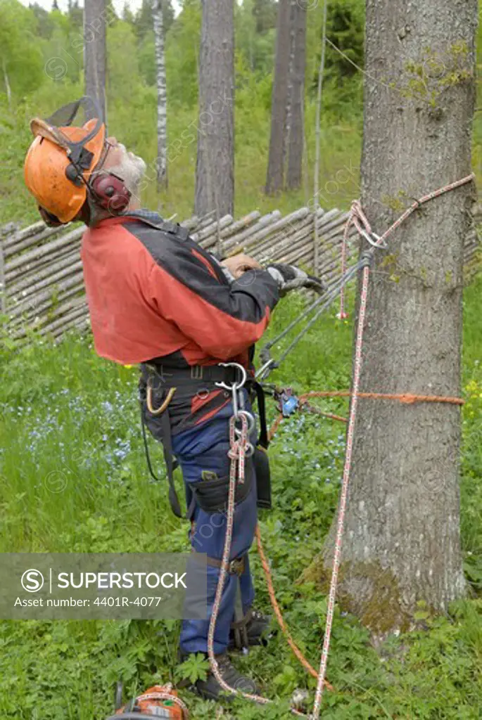 A woodman working, Sweden.