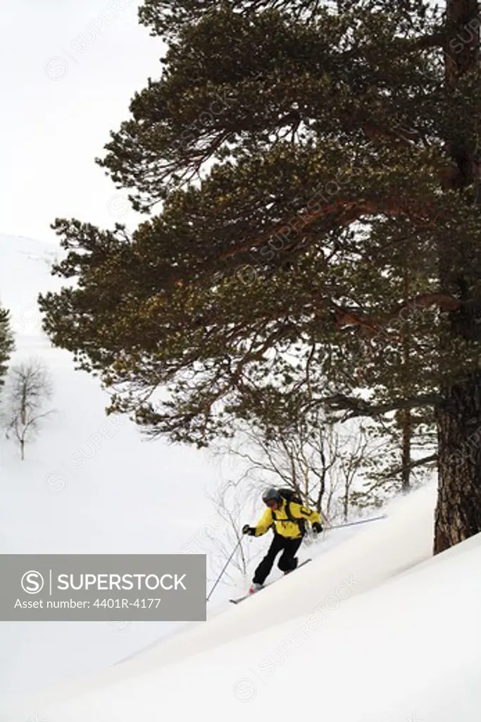 Skier in the snow, telemar, Sweden.