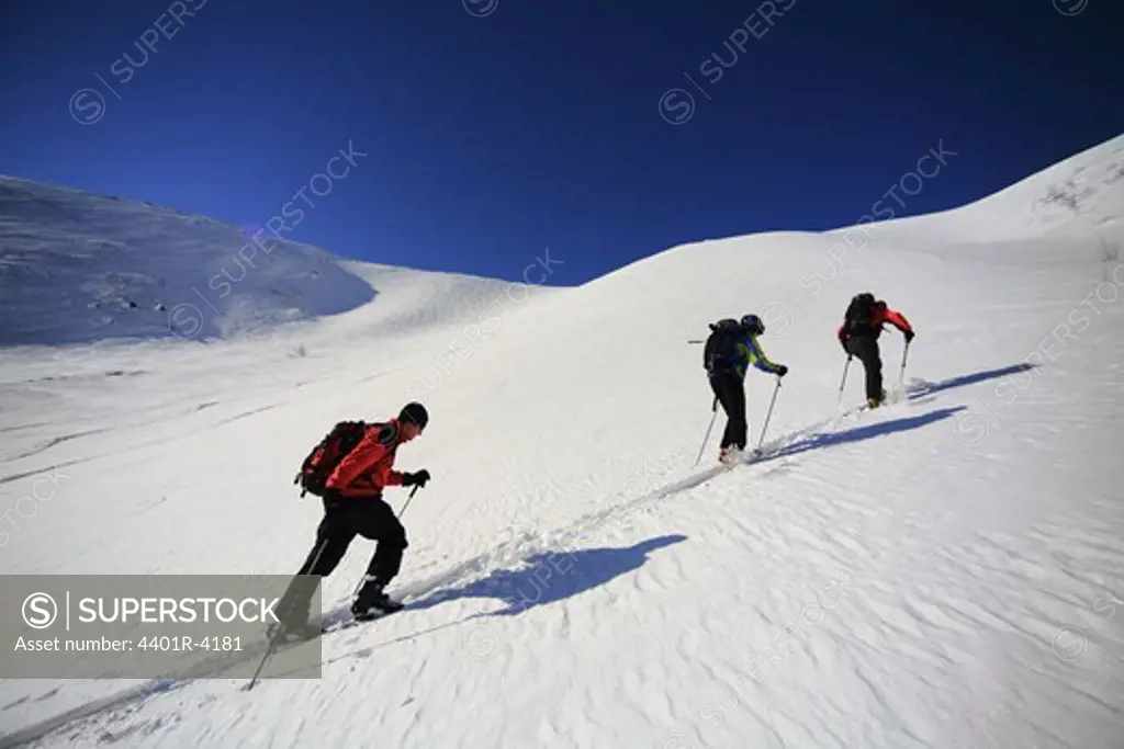 Skiers climbing a mountain, Sweden.