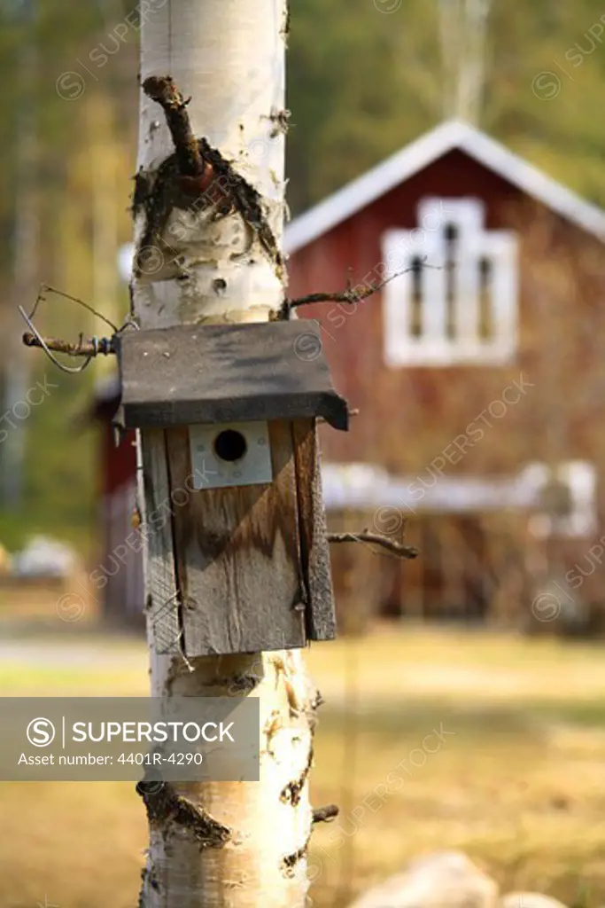 A nesting box in a tree, Sweden.