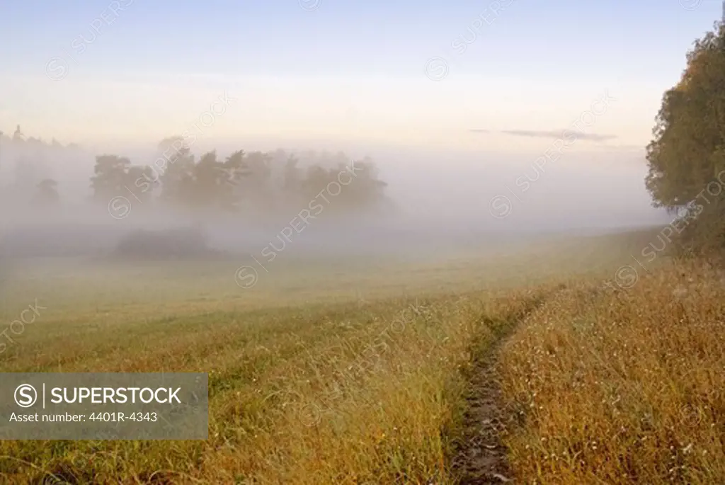 Morning fog over landscape, Sweden.