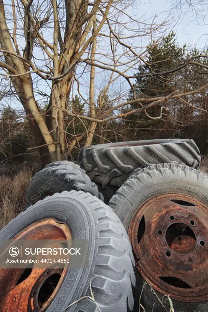 Old car tires in the forest, Sweden.