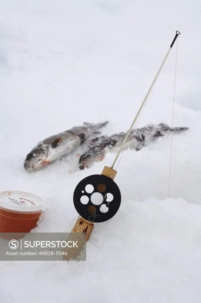 Ice fishing equipment and fishes.
