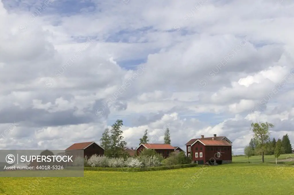 Houses and fields, Sweden.