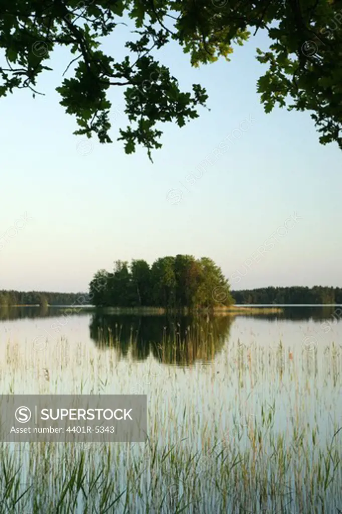 An island in a lake, Sweden.