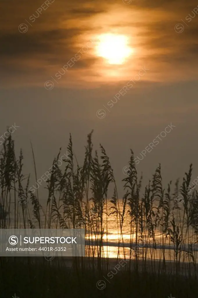 Sunrise, Huntington Beach State Park, South Carolina, USA.