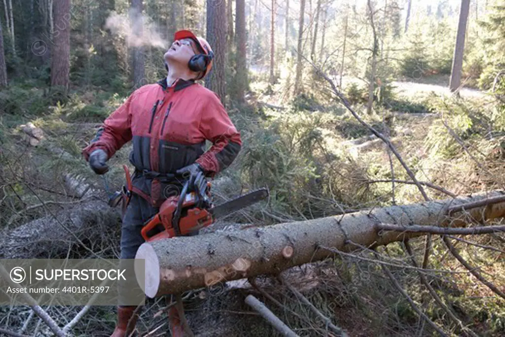 A woodman working in the forest, Sweden.