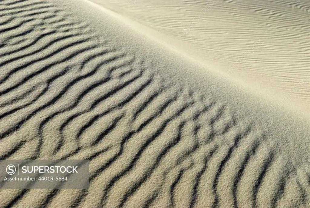 Sand dunes by the sea, Denmark