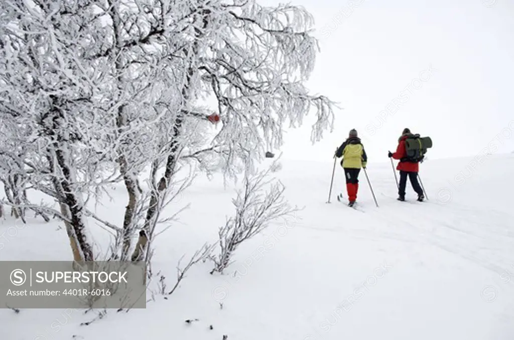 Long-distance skiing in snow covered landscape, Sweden.
