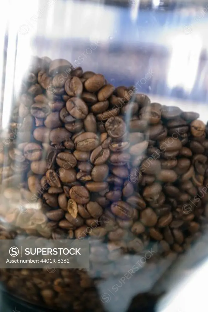 Coffee beans, close-up.
