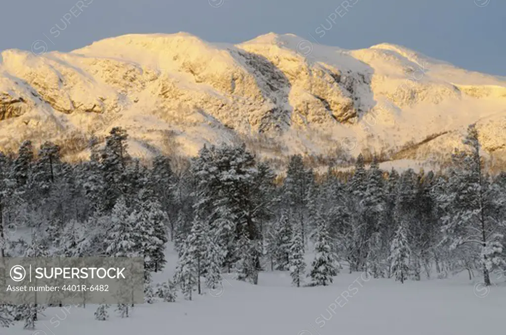 Forest and mountain in winter landscape, Norway.