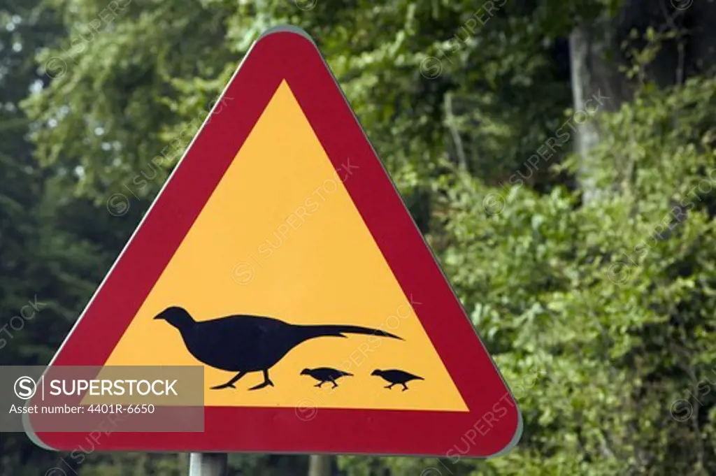A sign warning for pheasants, Sweden.