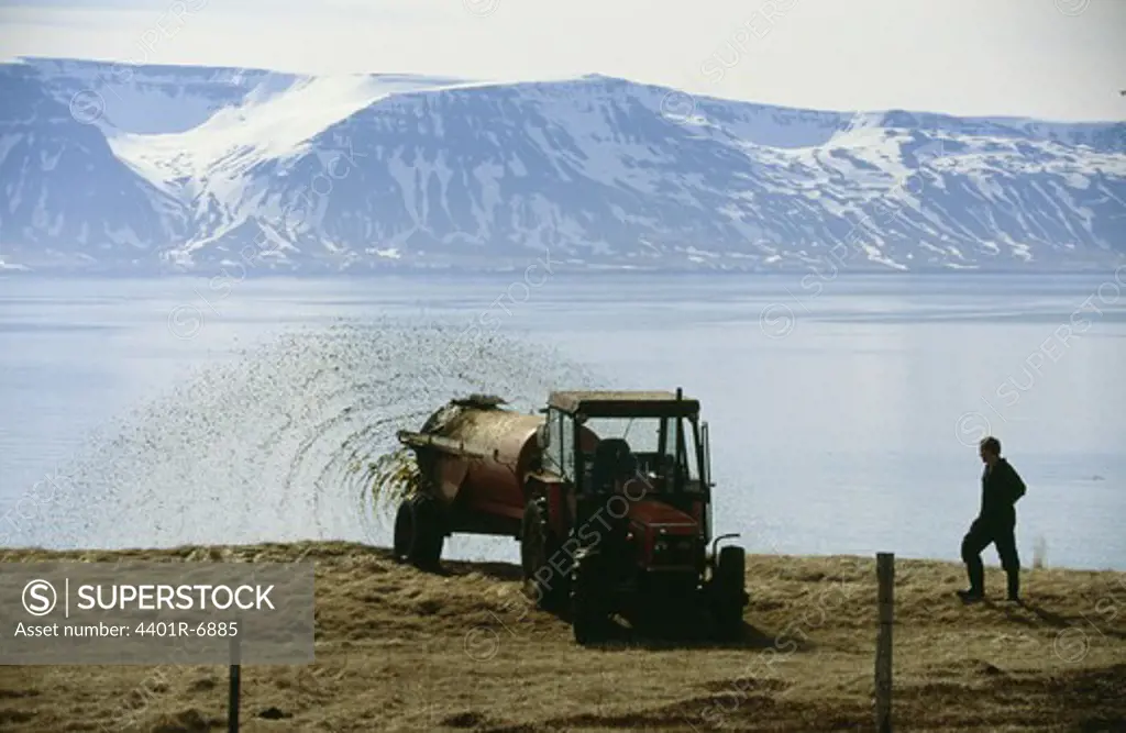 A manure-spreader, Iceland.