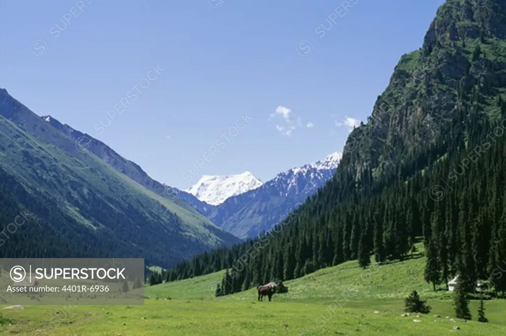 Mountain landscape, Krigistan.