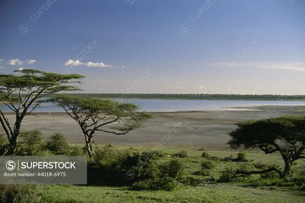 Landscape in Serengeti, Tanzania.