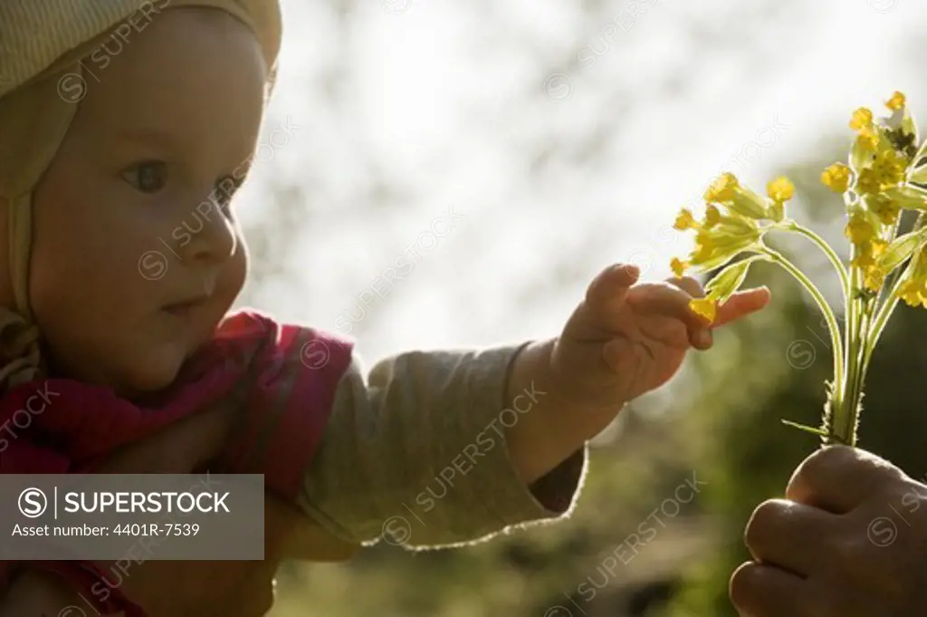 A baby with a flower, Sweden.
