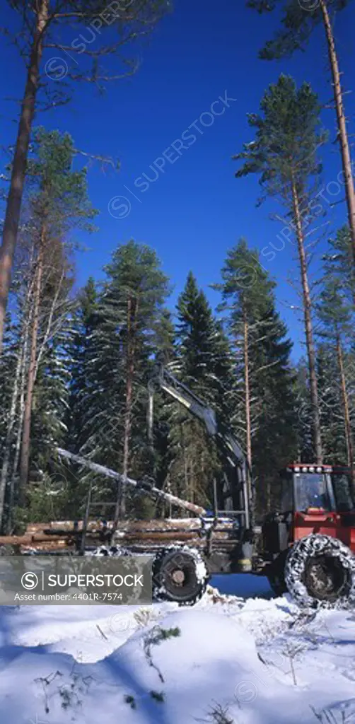 Truck working in the forest