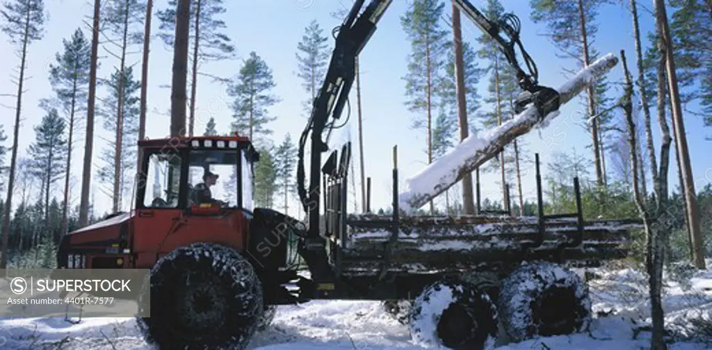 Tractor loading timber