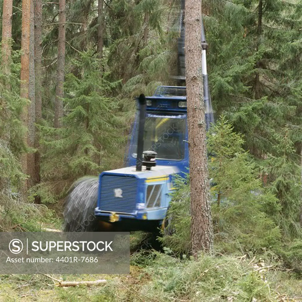 View of mobile crane in forest