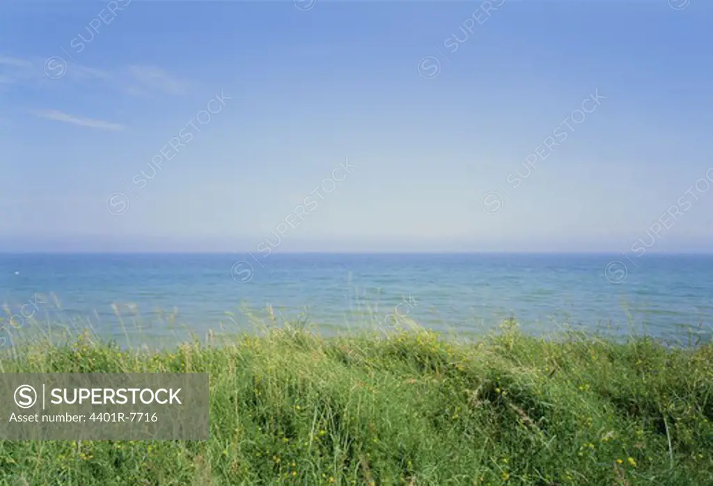 View of grass with sea in background