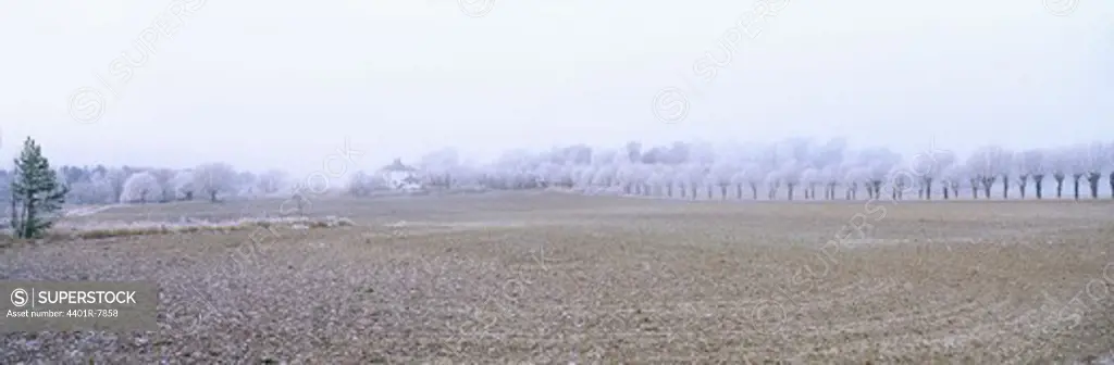 View of frost covered landscape