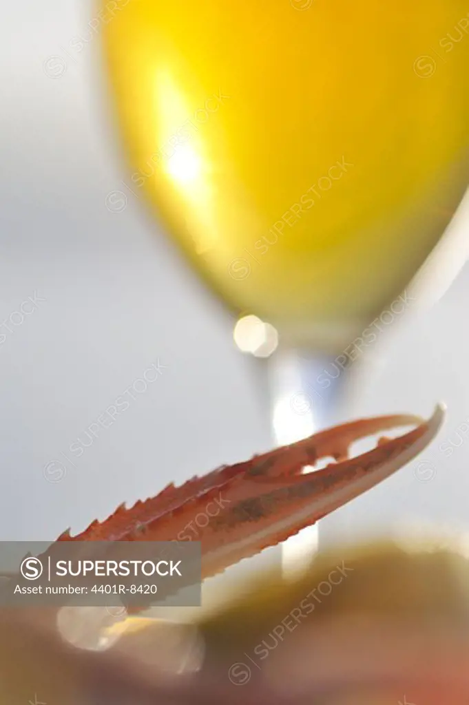 Crayfish claw and beer, close-up, Sweden.