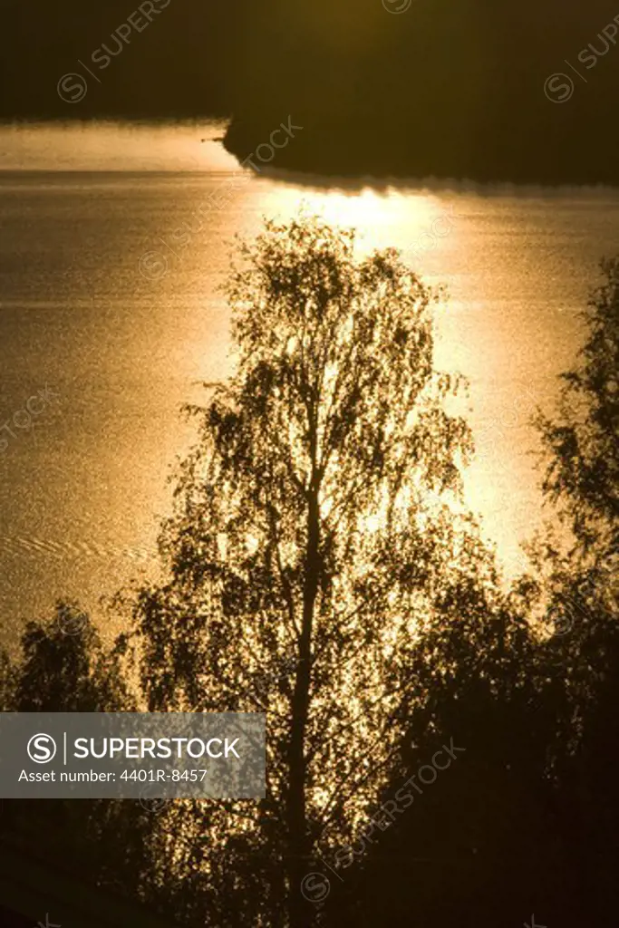 Sunset reflecting on the surface of the water, Dalarna, Sweden.