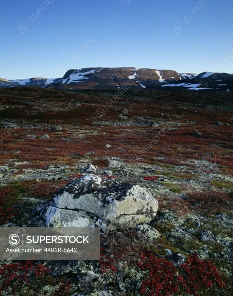 Norwegian landscape.