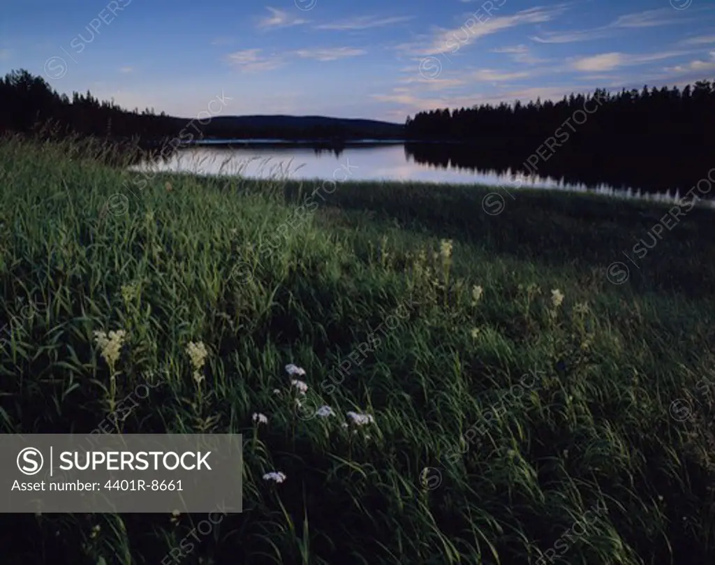 View of a river, sweden.