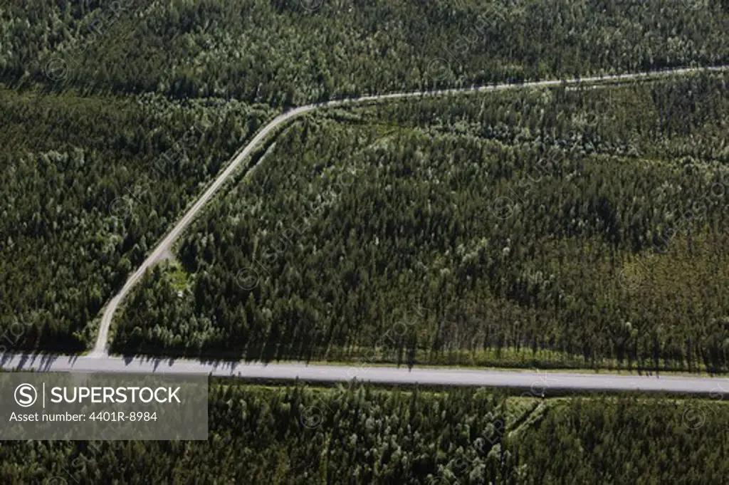 Road through forest landscape, aerial view.
