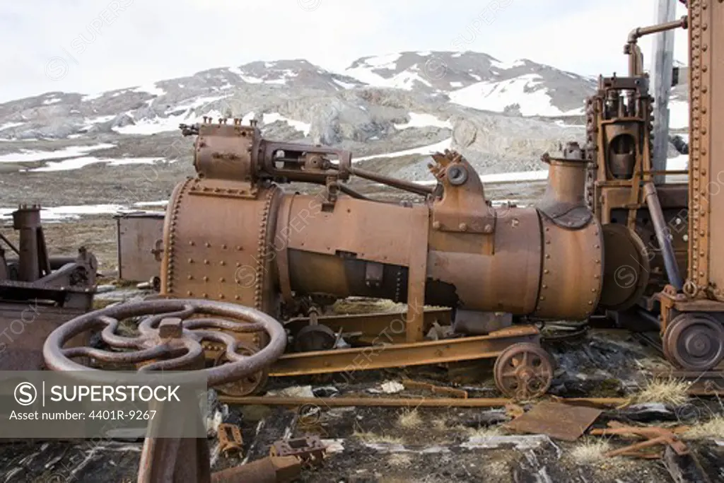 Rosty remains at Mansfield Camp, Spitsbergen, Svalbard, Norway.