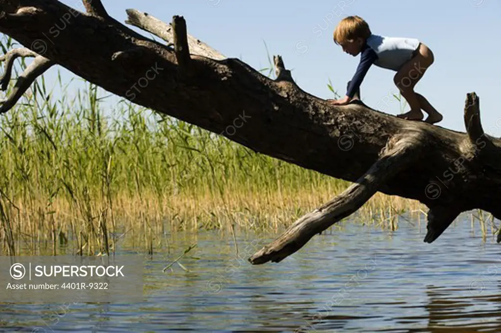 A boy climbing on a tree trunk, Sweden.