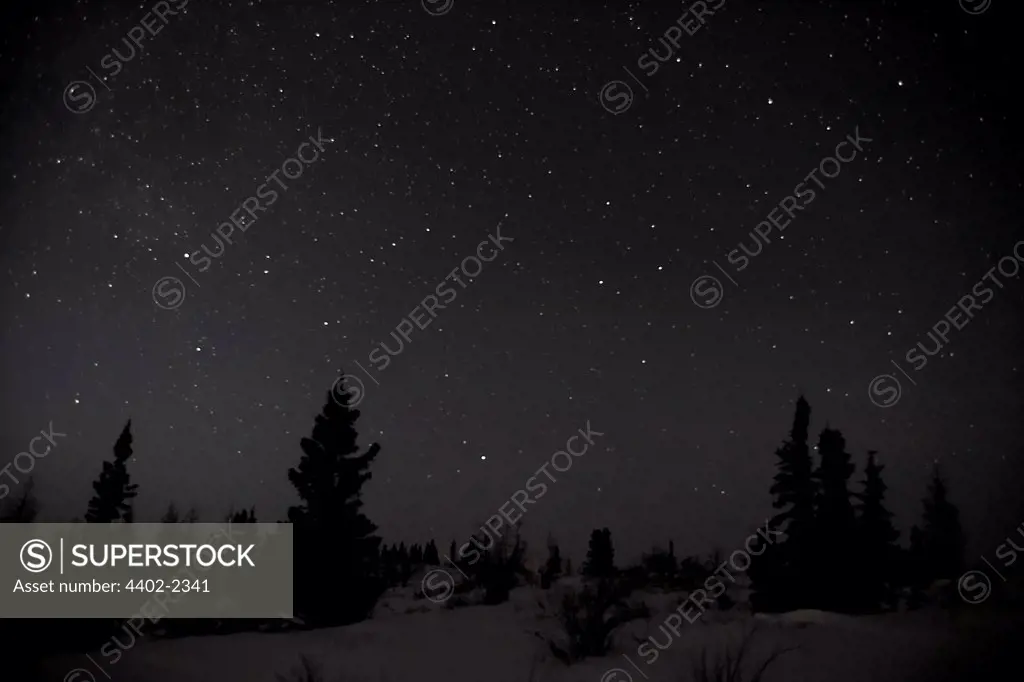 Night sky with stars, Manitoba, Canada