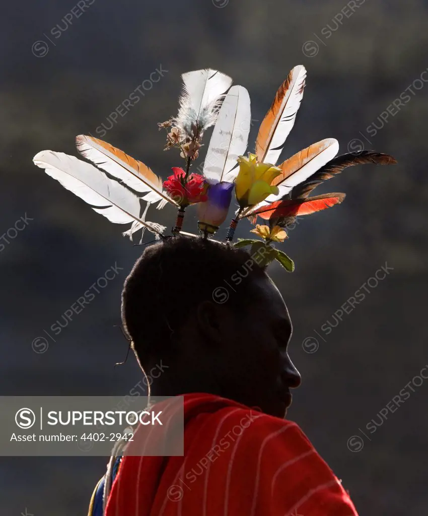 Close up of the feathered headdress of a Samburu tribesman attending ritual circumcision. Mount Nyiru, Kenya, Africa