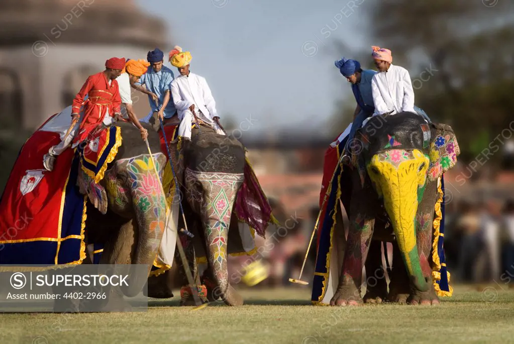 Elephants and mahouts playing a game of polo, Jaipur festival, India