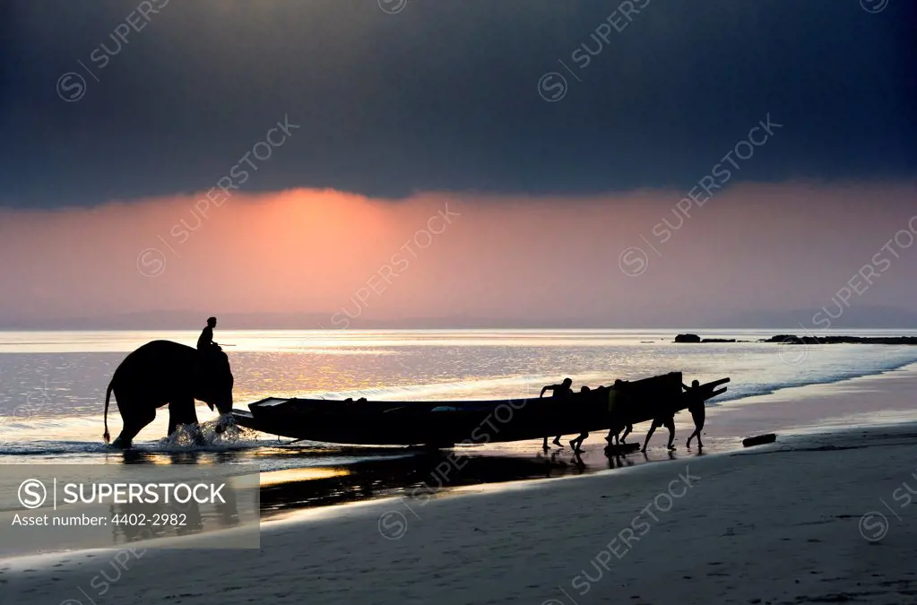 Silhouetted elephant helping to push a small boat ashore, India