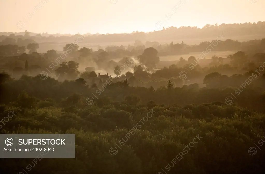 View across the valley at dusk, Wye, Kent.