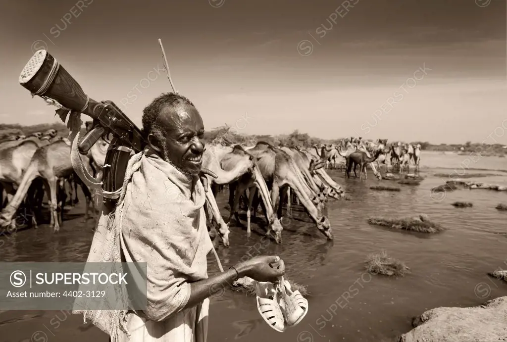 Man with rifle and Arabian Camel s, Afar, Ethiopia