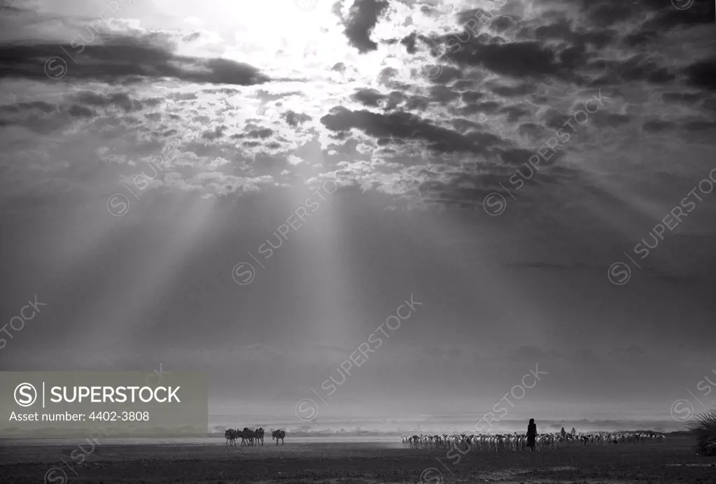 Gabbra herders, Chalbi desert, Northern Kenya, Africa