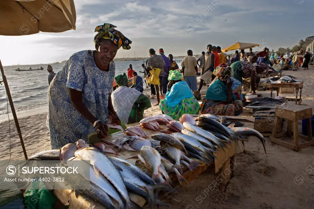 Women selling fish on the beach, Yoff, Dakar, Senegal, west Africa