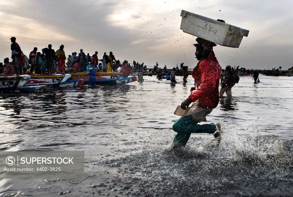 Trader collecting fish from returning fishing boats, Joal, Senegal