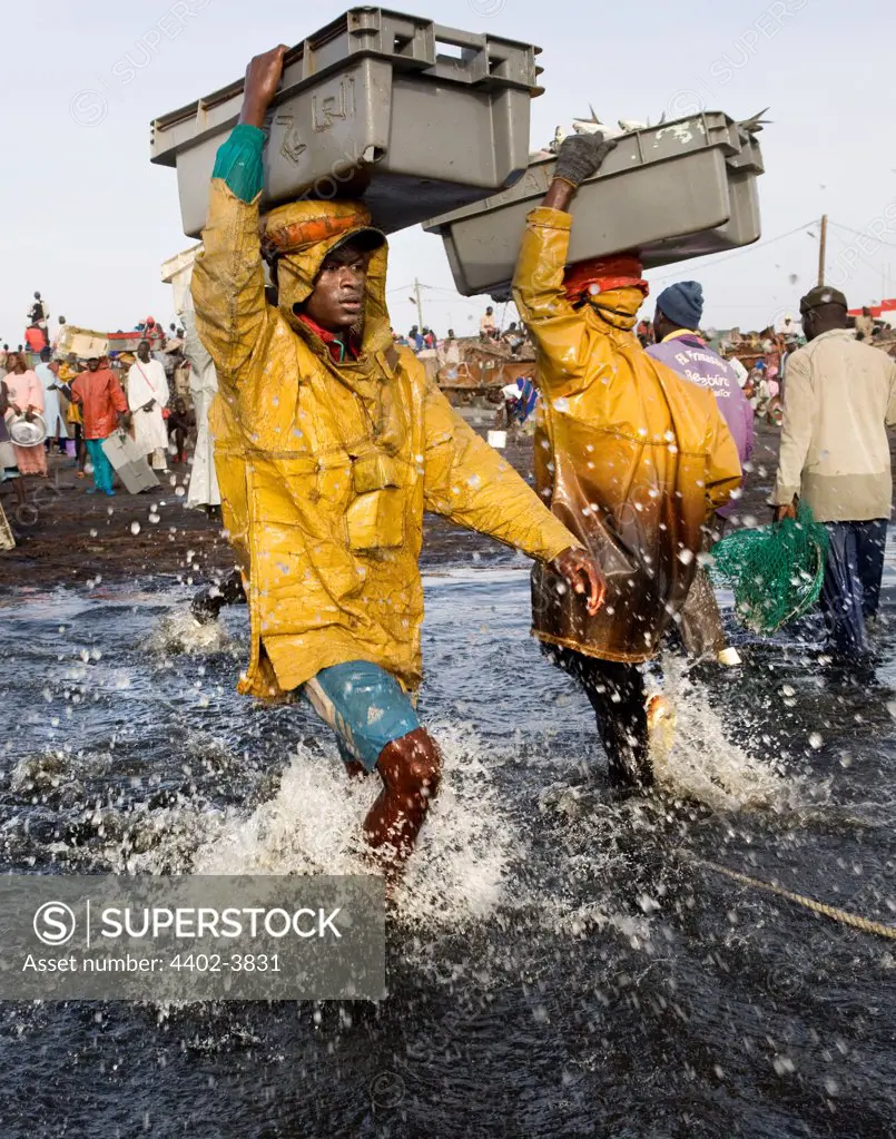 Tradesmen collect fish from the returning fishermen, Joal, Senegal